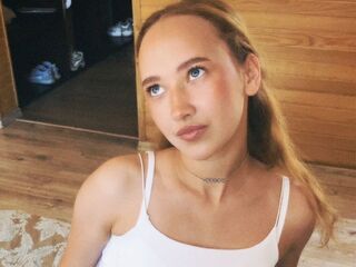 livecam VeniceMidden